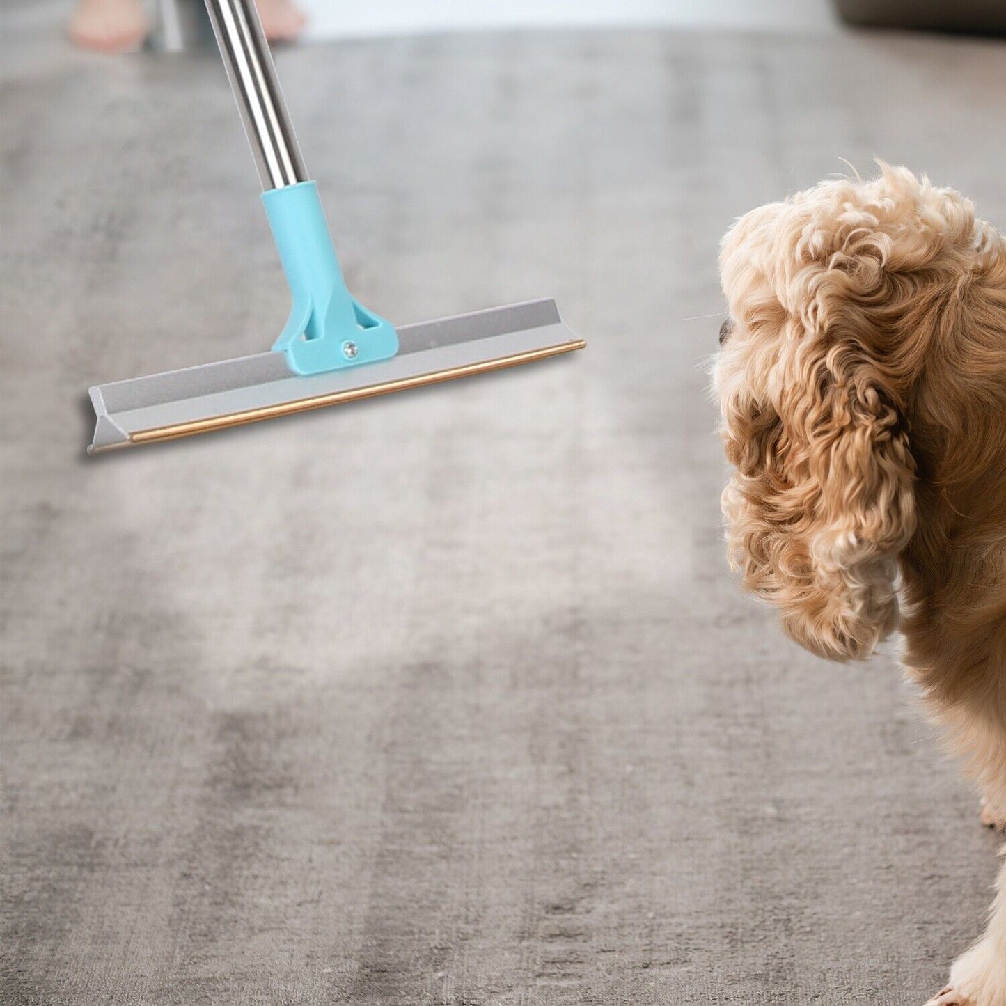 Pet Hair Removal Rake Set 54"Telescopic Handle Broom for Dog Cat Carpet Cleaner