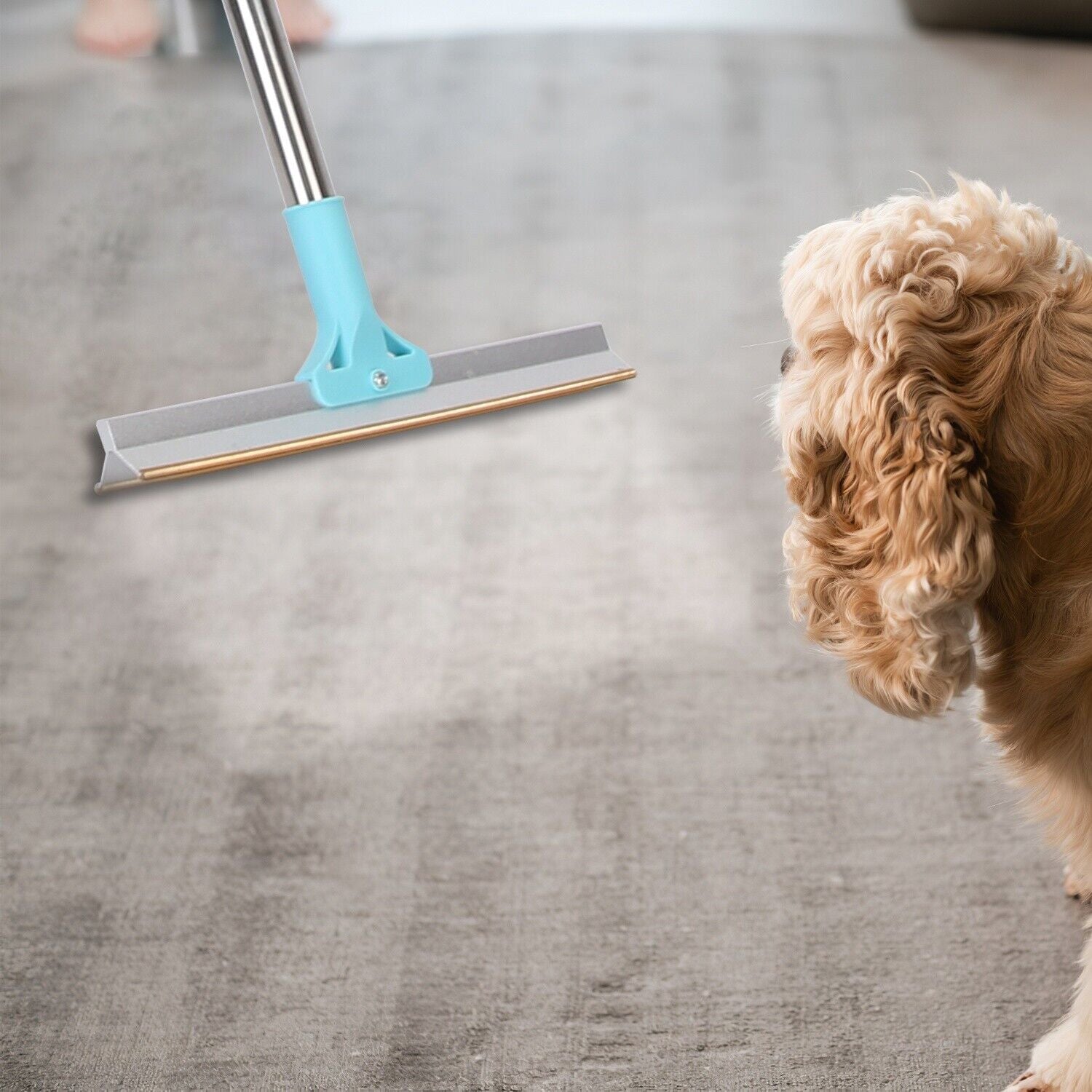 Pet Hair Removal Rake Set 54"Telescopic Handle Broom for Dog Cat Carpet Cleaner